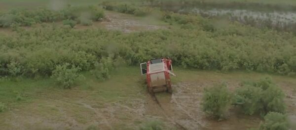 Жуткая грязь и увязшие в ней камионы: кадры с 3-го этапа Шелкового пути - Sputnik Беларусь