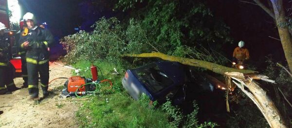 Пьяный водитель-бесправник попал в ДТП под Жабинкой - Sputnik Беларусь