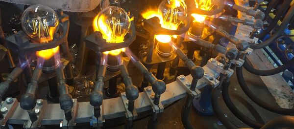 Производство ламп на заводе - Sputnik Беларусь