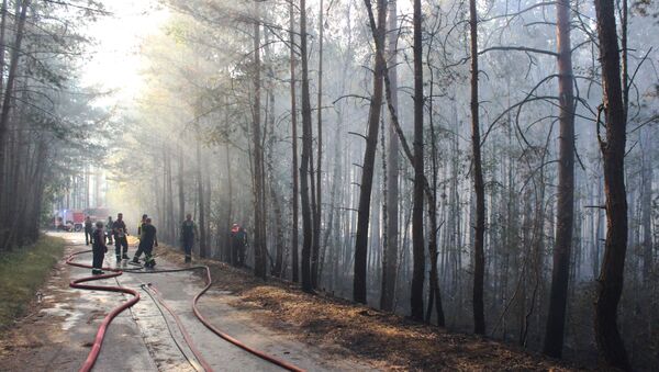 Лесные пожары в Германии - Sputnik Беларусь