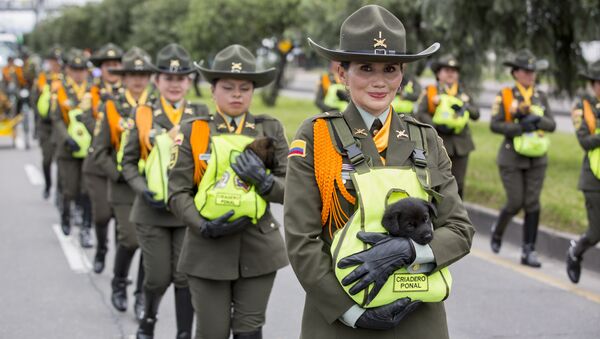Полицейские щенки на параде в Колумбии - Sputnik Беларусь