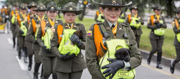 Полицейские щенки на параде в Колумбии - Sputnik Беларусь