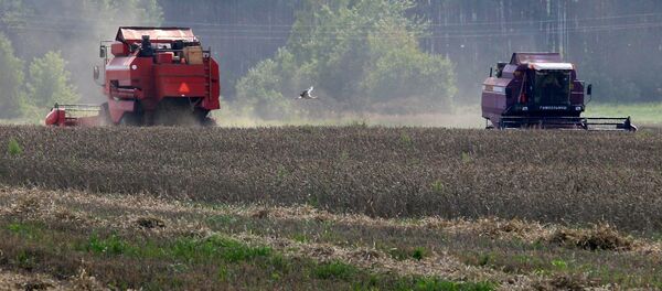 Уборка збожжавых у Брэсцкай вобласці Уборка збожжавых у Брэсцкай вобласці - Sputnik Беларусь