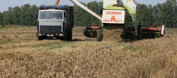 Уборка зерновых в Брестской области - Sputnik Беларусь