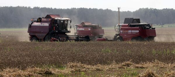 Уборка зерновых в Брестской области - Sputnik Беларусь