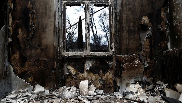 Из-за пожаров в Греции погибло более 90 человек, пропало 25 - Sputnik Беларусь