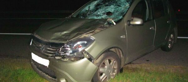 Ночью под Борисовом насмерть сбили пешехода без фликеров Ночью под Борисовом насмерть сбили пешехода без фликеров - Sputnik Беларусь