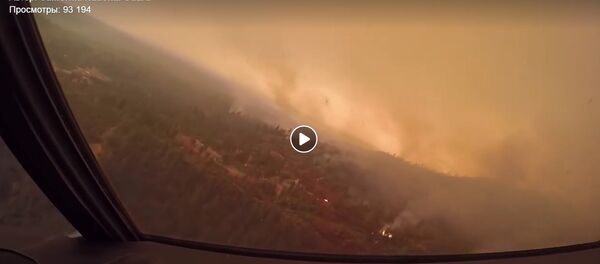 Лесные пожары в Калифорнии с высоты птичьего полета - Sputnik Беларусь