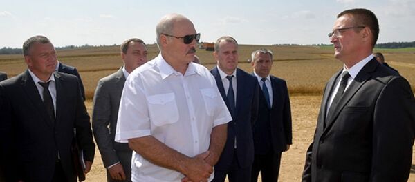 Рабочая поездка Александра Лукашенко в Минский район - Sputnik Беларусь