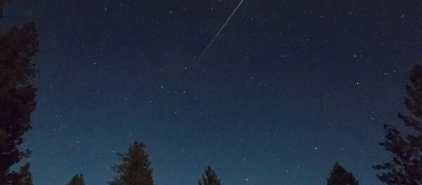 Падающий метеор Персеид Падающий метеор Персеид - Sputnik Беларусь