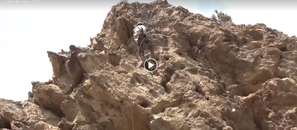 Снайперы, скалолазы, медики: яркие моменты с АрМИ-2018 - Sputnik Беларусь