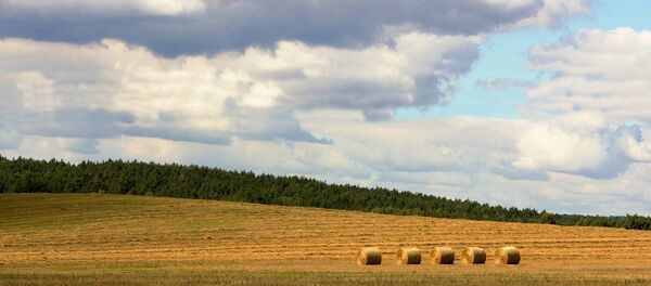 Уборачная кампанія, архіўнае фота - Sputnik Беларусь
