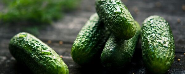 Огурцы, архивное фото - Sputnik Беларусь