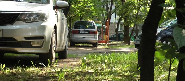 Видеофакт: экологическая акция Я паркуюсь, как... прошла в Минске Видеофакт: экологическая акция Я паркуюсь, как... прошла в Минске - Sputnik Беларусь