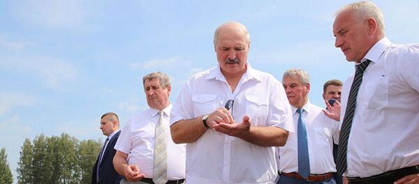 Александр Лукашенко во время посещения ОАО Турково, 3 августа 2018 года - Sputnik Беларусь