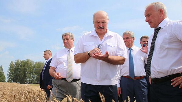 Александр Лукашенко во время посещения ОАО Турково, 3 августа 2018 года - Sputnik Беларусь