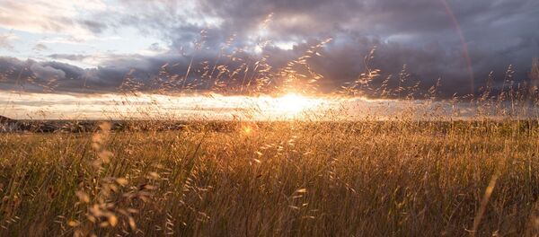 Закат - Sputnik Беларусь