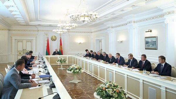 Совещание у Александра Лукашенко по развитию СЭЗ - Sputnik Беларусь