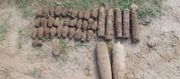 У Віцебскім раёне знайшлі боепрыпасы часоў ВАВ У Віцебскім раёне знайшлі боепрыпасы часоў ВАВ - Sputnik Беларусь