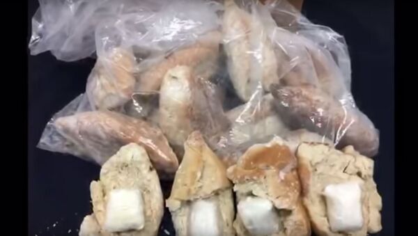 Собаки нашли 15 батонов с кокаином, видео - Sputnik Беларусь