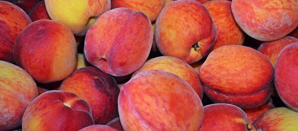Персики, архивное фото Персики, архивное фото - Sputnik Беларусь