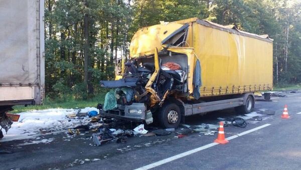 Два грузовика Мерседес столкнулись на трассе в Гомельской области - Sputnik Беларусь