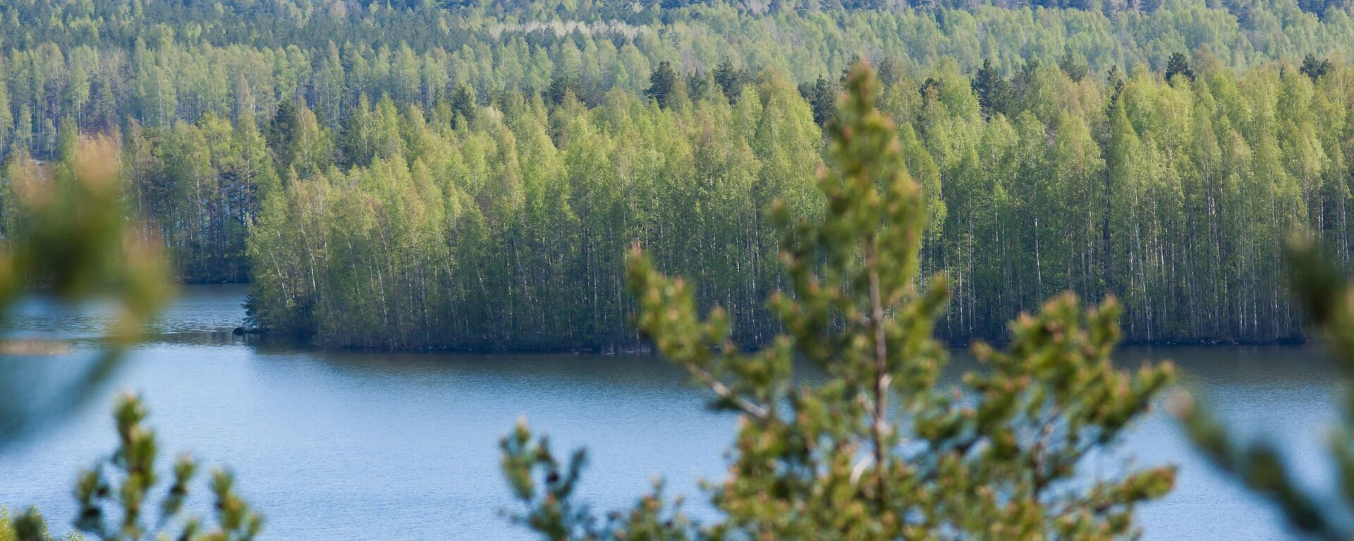 Вид на озеро в Республике Карелия - Sputnik Беларусь, 1920, 04.07.2021