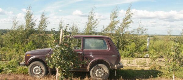 Агроном наехала на коллегу на Гродненщине - Sputnik Беларусь