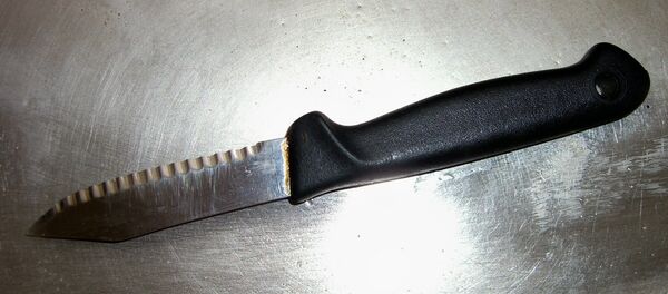 Нож, архивное фото - Sputnik Беларусь