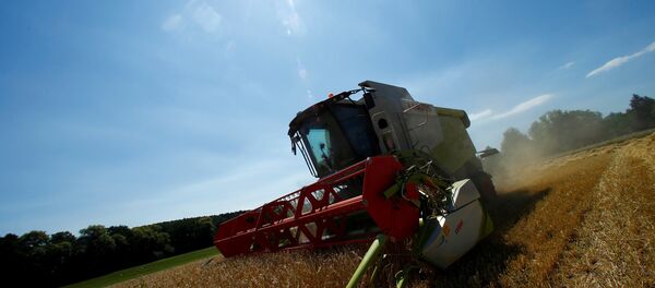 Уборка урожая в Германии, архивное фото - Sputnik Беларусь