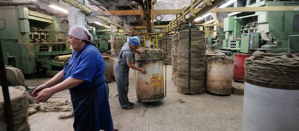 Производство льна в республике Беларусь - Sputnik Беларусь