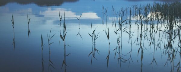 Ночное озеро, архивное фото - Sputnik Беларусь