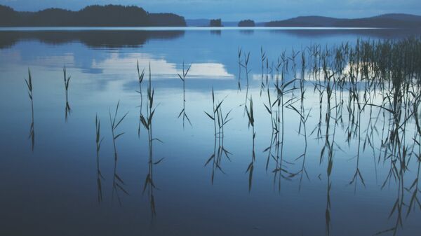 Ночное озеро, архивное фото - Sputnik Беларусь