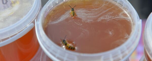 Які сёння дзень: 14 жніўня 2025 года Які сёння дзень: 14 жніўня 2025 года - Sputnik Беларусь