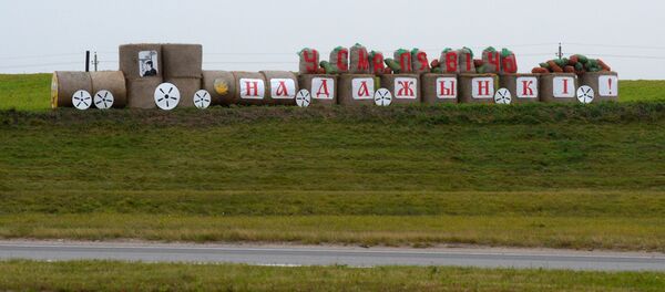 Из соломенных тюков можно собрать поезд Из соломенных тюков можно собрать поезд - Sputnik Беларусь