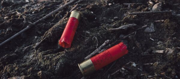 Гильзы, архивное фото - Sputnik Беларусь