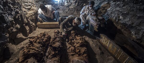 Египетские ученые, архивное фото - Sputnik Беларусь