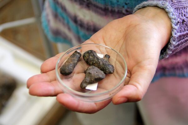 Внеземное происхождение породы может определить только специалист Внеземное происхождение породы может определить только специалист - Sputnik Беларусь