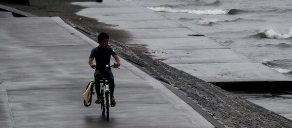 Побережье моря в Японии - Sputnik Беларусь