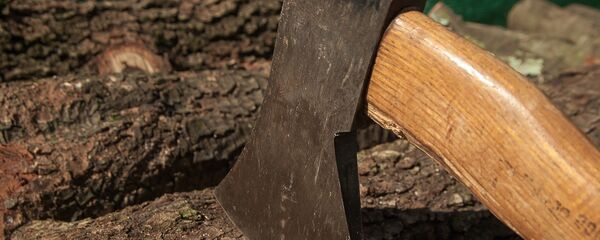 Топор Топор - Sputnik Беларусь