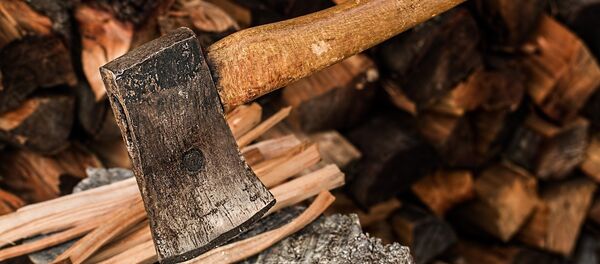 Топор на снегу Топор на снегу - Sputnik Беларусь