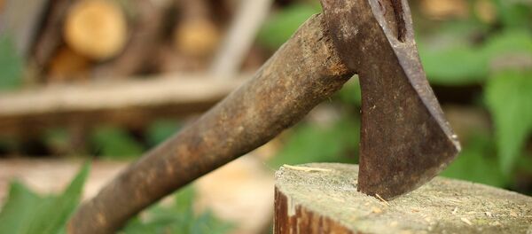 Топор - Sputnik Беларусь