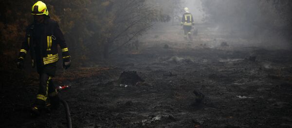 Пожар под Берлином - Sputnik Беларусь