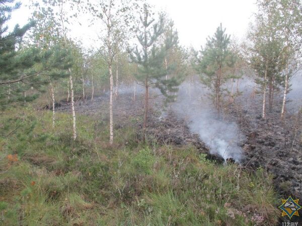 Пожар в Лидском районе Пожар в Лидском районе - Sputnik Беларусь