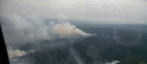 Огонь на территории Ольманских болот - Sputnik Беларусь