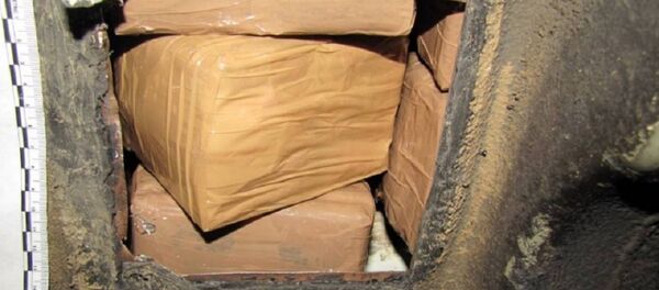 Наркотик, спрятанный в автомобиле - Sputnik Беларусь