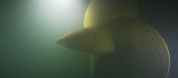 Винт затонувшего эсминца Калинин - Sputnik Беларусь