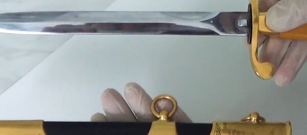 Таможенники обнаружили в личных вещах россиянина авиационный кортик - Sputnik Беларусь