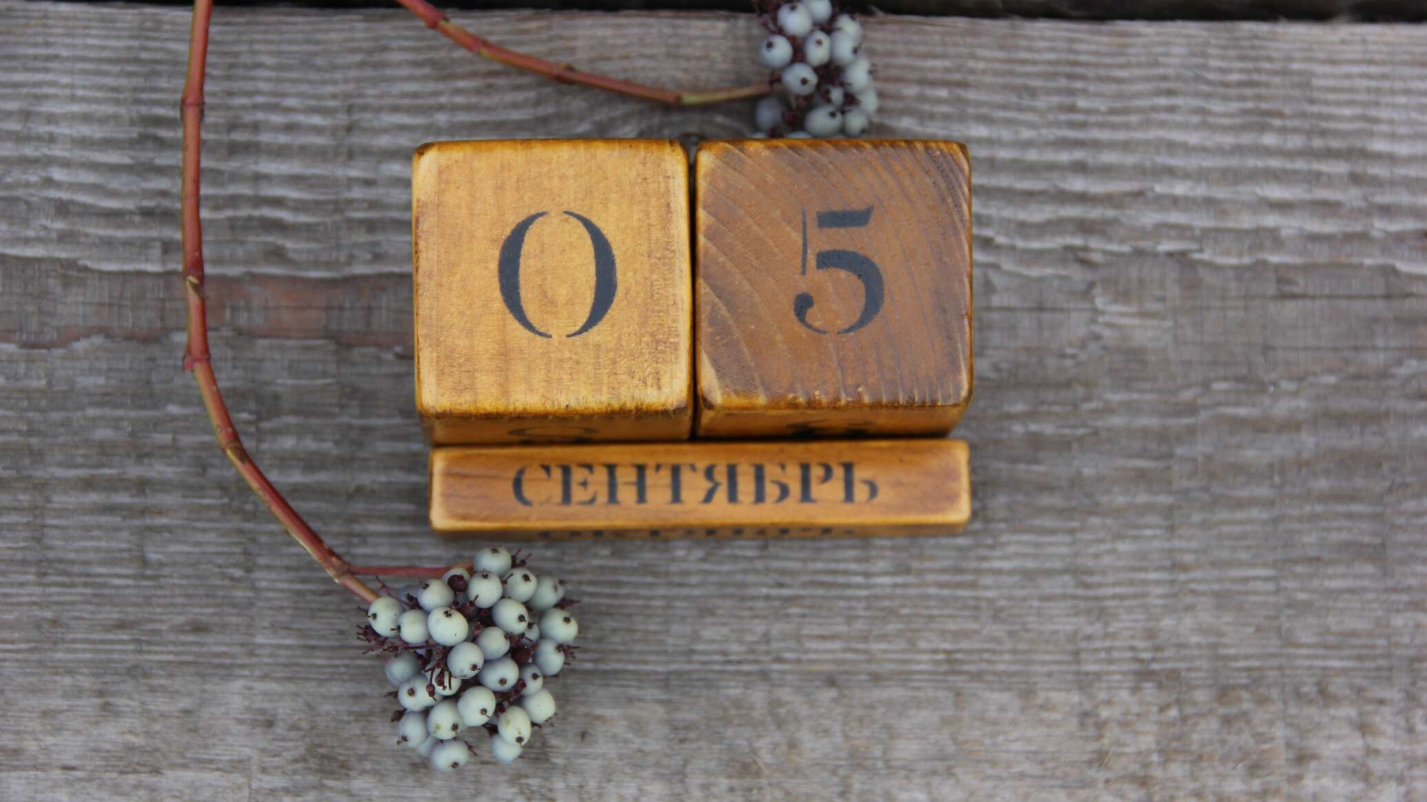 5 сентября день благотворительности. 5 сентября именины. 5 сентября праздник. 5 сентября календарь. 5 сентября 2022.