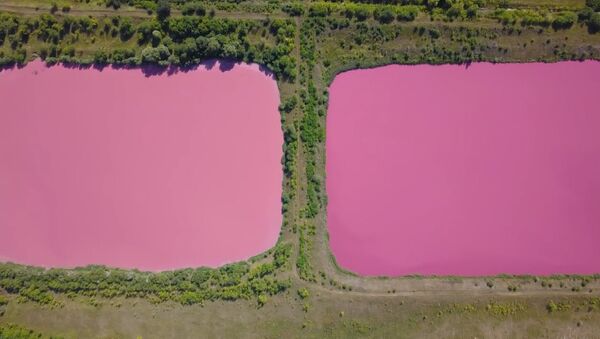 Розовые озера под Самарой - Sputnik Беларусь